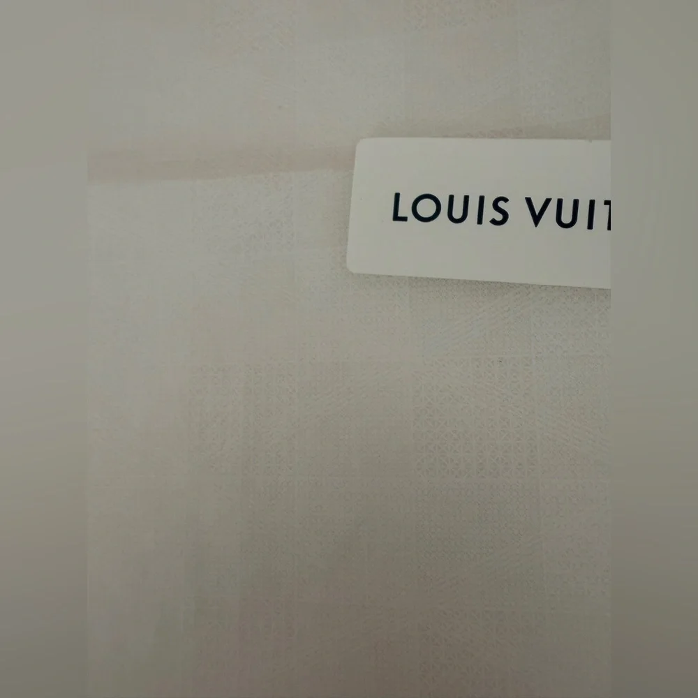 Louis Vuitton New “Button” Close Box w Tissue Ribbon Receipt Holder Shopping Bag - Picture 16 of 16